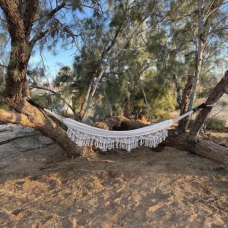 Casa Agave: Comfy Joshua Tree Cottage With Free Breakfast Bar Екстериор снимка