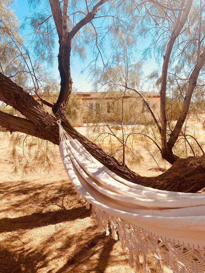 Casa Agave: Comfy Joshua Tree Cottage With Free Breakfast Bar Екстериор снимка