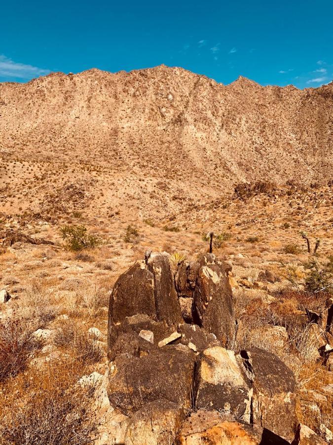 Casa Agave: Comfy Joshua Tree Cottage With Free Breakfast Bar Екстериор снимка