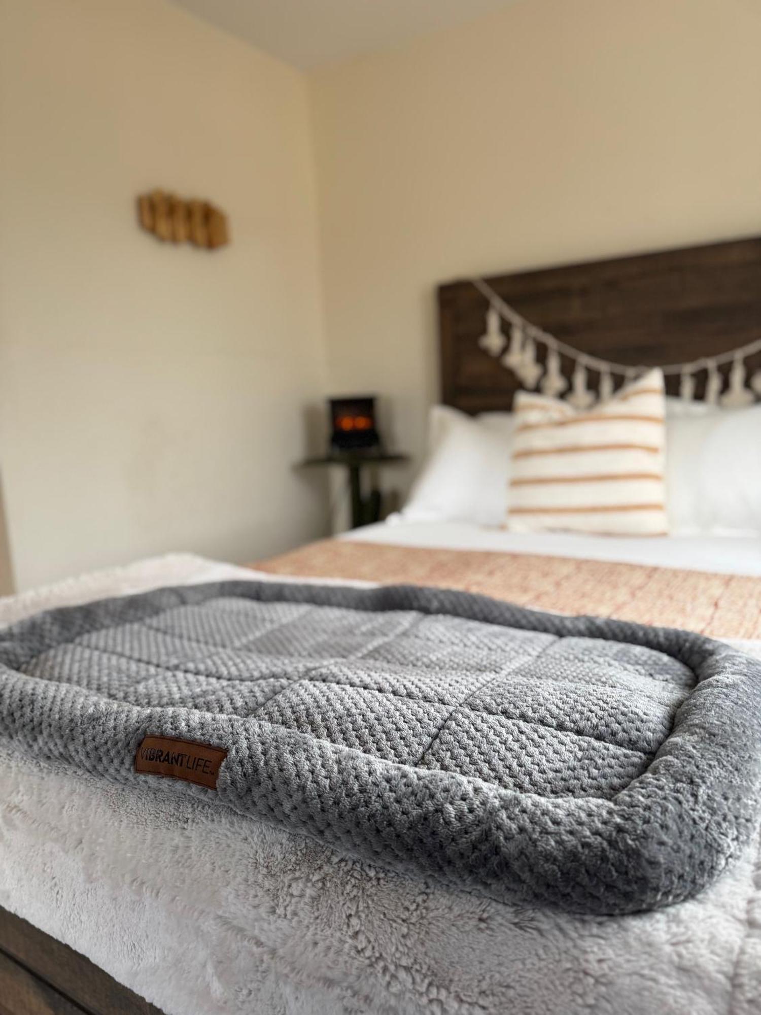 Casa Agave: Comfy Joshua Tree Cottage With Free Breakfast Bar Екстериор снимка