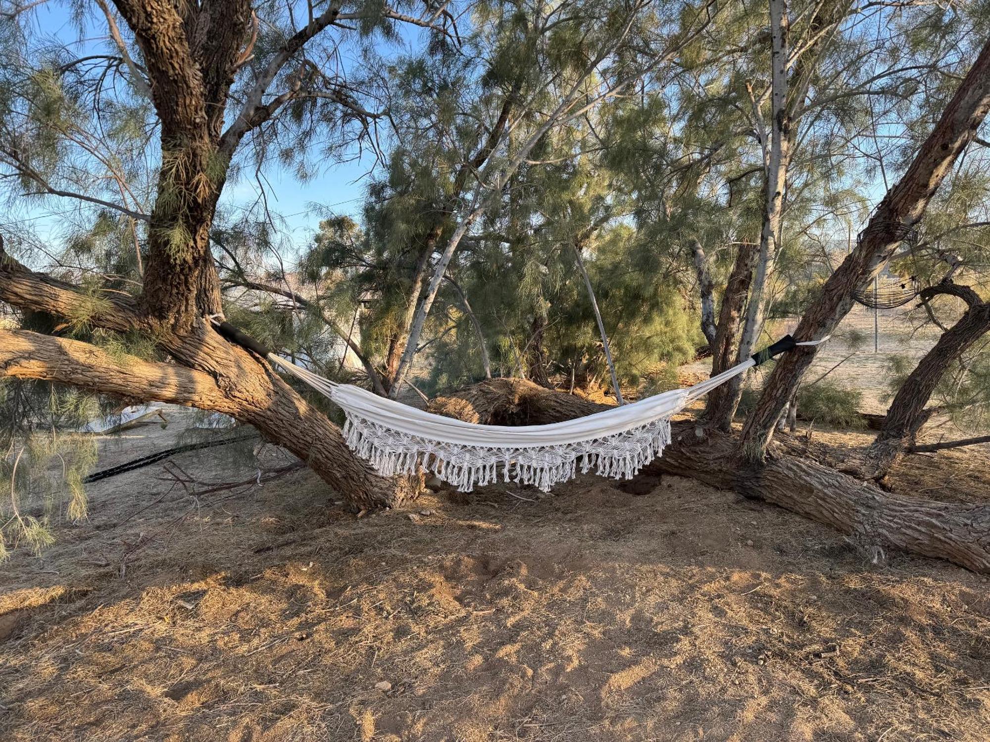Casa Agave: Comfy Joshua Tree Cottage With Free Breakfast Bar Екстериор снимка